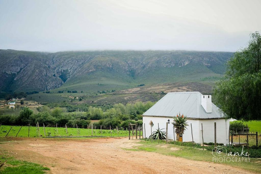 Swartberg Country Manor Guest House Matjiesrivier  Luaran gambar