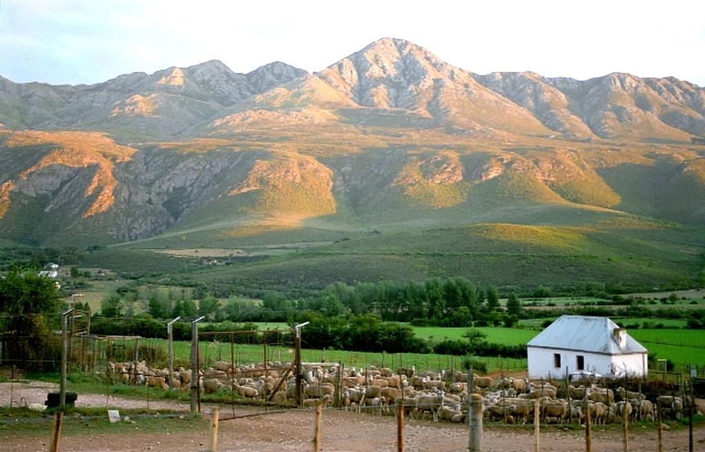 Swartberg Country Manor Guest House Matjiesrivier  Luaran gambar
