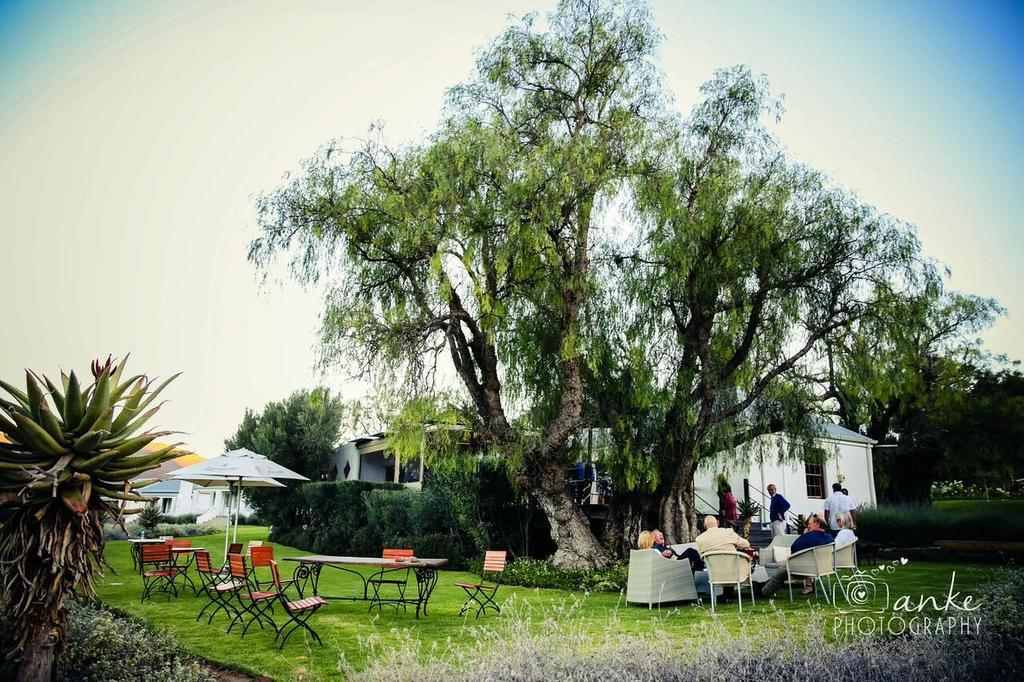 Swartberg Country Manor Guest House Matjiesrivier  Luaran gambar